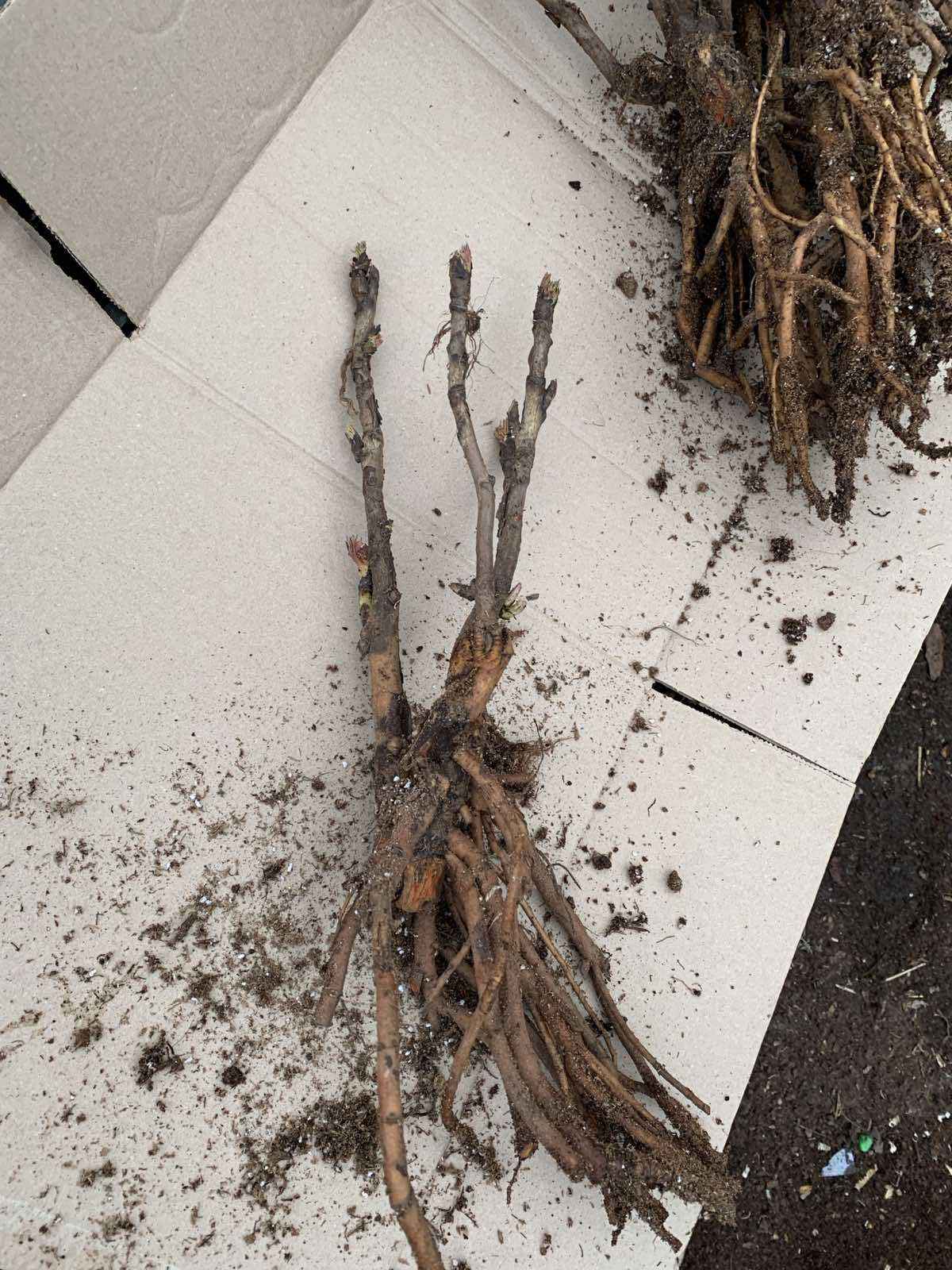 Мұғалім азғырады сыныпта порно онлайн